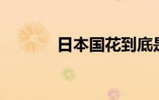 日本国花到底是菊花还是樱花