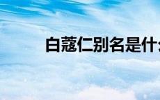 白蔻仁别名是什么（白蔻仁别名）