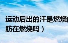 运动后出的汗是燃烧的脂肪吗（运动流汗是脂肪在燃烧吗）