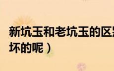 新坑玉和老坑玉的区别（老坑玉是怎么区分好坏的呢）
