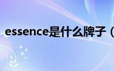 essence是什么牌子（essence是什么牌子）