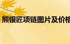熊银匠项链图片及价格（熊银匠是什么牌子）