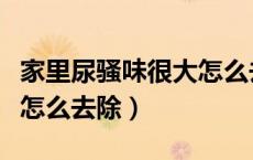 家里尿骚味很大怎么去除（屋里的尿骚味太浓怎么去除）