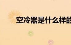空冷器是什么样的（空冷器是什么）