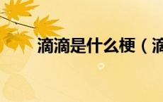 滴滴是什么梗（滴～滴滴是什么梗）