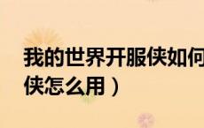 我的世界开服侠如何加mod（我的世界开服侠怎么用）