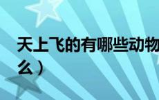 天上飞的有哪些动物?（天上飞的动物都有什么）