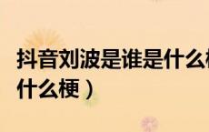 抖音刘波是谁是什么梗（你要问我刘波是谁是什么梗）