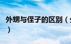 外甥与侄子的区别（外甥和侄子的区别是什么）