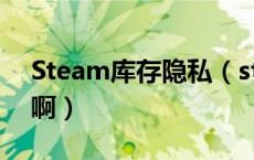 Steam库存隐私（steam怎么设置库存隐私啊）