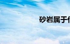 砂岩属于什么类岩石