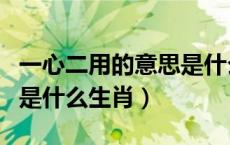 一心二用的意思是什么生肖（一心总不能二用是什么生肖）