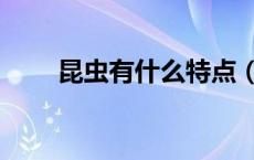昆虫有什么特点（昆虫有什么特点）