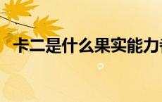 卡二是什么果实能力者（卡二是什么果实）