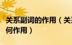 关系副词的作用（关系副词是什么在句子中有何作用）
