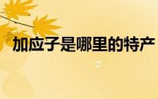 加应子是哪里的特产（加应子是什么水果）