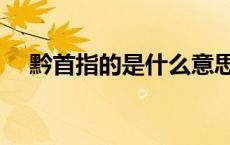 黔首指的是什么意思（黔首指的是什么）