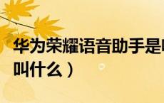 华为荣耀语音助手是啥（华为荣耀的语音助手叫什么）
