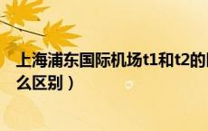 上海浦东国际机场t1和t2的区别（上海浦东机场t1和t2有什么区别）