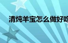 清炖羊宝怎么做好吃（清炖羊宝怎么做）