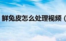 鲜兔皮怎么处理视频（兔子皮怎么处理视频）
