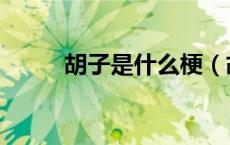 胡子是什么梗（胡子扎腿什么梗）