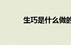 生巧是什么做的（生巧是什么）