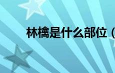林檎是什么部位（林檎是什么水果）