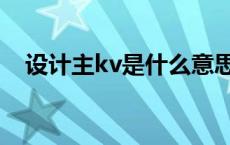 设计主kv是什么意思（主kv是什么意思）