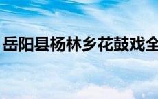 岳阳县杨林乡花鼓戏全选（YY信用利息高吗）