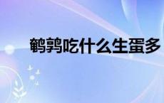 鹌鹑吃什么生蛋多（鹌鹑吃什么粮食）