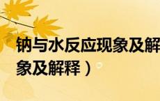 钠与水反应现象及解释5个字（钠与水反应现象及解释）