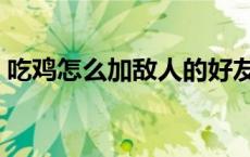 吃鸡怎么加敌人的好友（吃鸡怎么加好友啊）