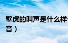壁虎的叫声是什么样子的（壁虎叫声是什么声音）