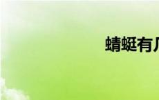 蜻蜓有几个副眼