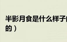 半影月食是什么样子的（半影月食是什么样子的）