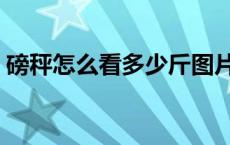 磅秤怎么看多少斤图片（磅秤怎么看多少斤）