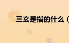 三玄是指的什么（三玄是指哪三本）