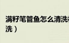 满籽笔管鱼怎么清洗视频（满籽笔管鱼怎么清洗）