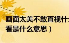 画面太美不敢直视什么意思（画面太美我不敢看是什么意思）