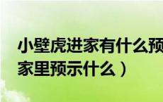 小壁虎进家有什么预兆?百度百科（小壁虎进家里预示什么）