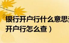 银行开户行什么意思查询（开户行是什么意思开户行怎么查）