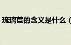 琉璃苣的含义是什么（琉璃苣的花语是什么）