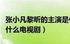 张小凡黎昕的主演是什么电视剧（黎昕张小凡什么电视剧）