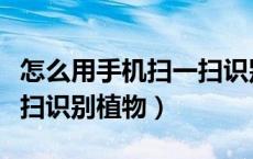 怎么用手机扫一扫识别植物（怎样用微信扫一扫识别植物）