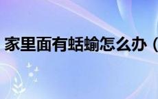 家里面有蛞蝓怎么办（家里有蛞蝓怎么清除）
