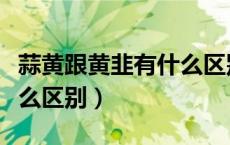蒜黄跟黄韭有什么区别（蒜黄和韭黄到底有什么区别）