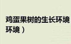 鸡蛋果树的生长环境（鸡蛋果树需要什么生长环境）