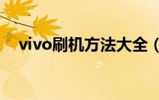 vivo刷机方法大全（vivo刷机方法步骤）