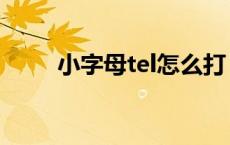 小字母tel怎么打（小的tel怎么打）